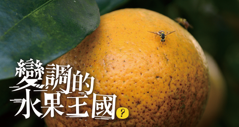 「水果王國」怎麼了?極端氣候惹的禍 「水果王國」怎麼了?極端氣候惹的禍