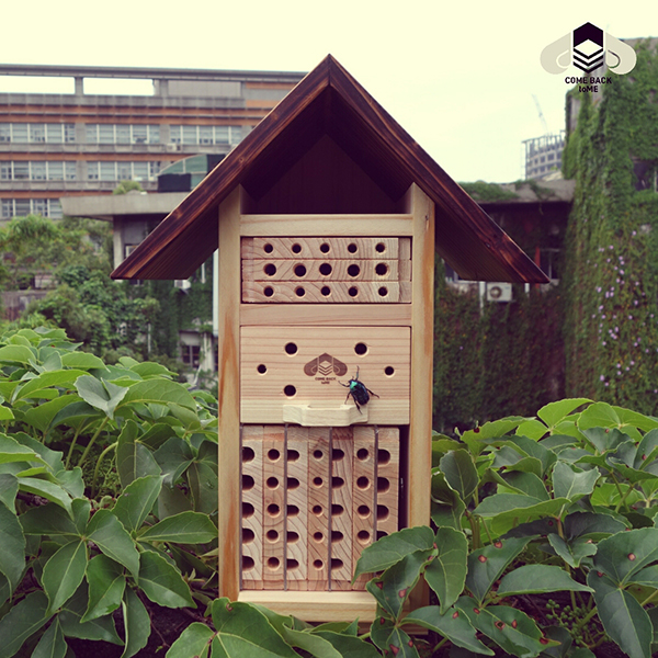 我在辦公桌，豢養一座花園_img_3