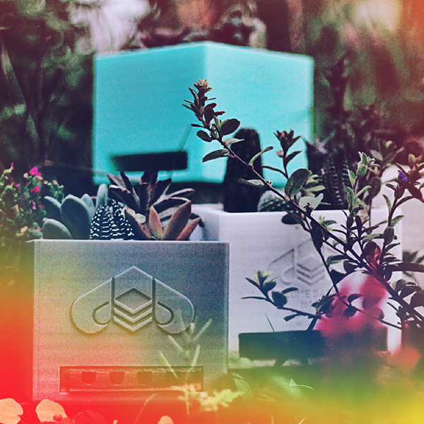 我在辦公桌，豢養一座花園_img_5