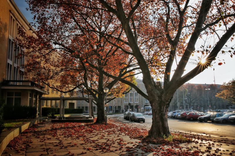 不同世界的故事我們都聽多了,但這卻是第一次聽他們親口說_img_5