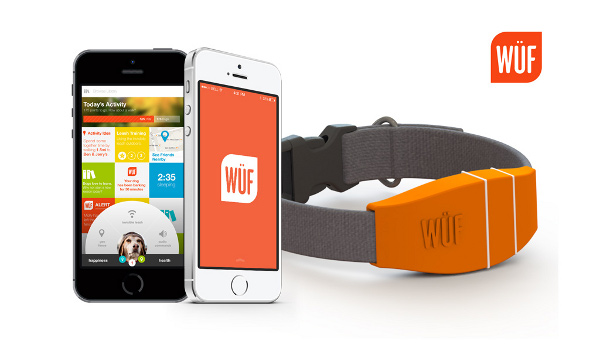 「最聰明的項圈」一次解決所有煩惱_img_1