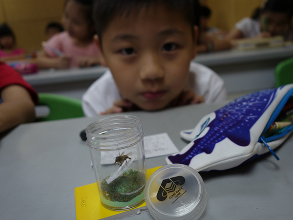 我在辦公桌，豢養一座花園_img_1