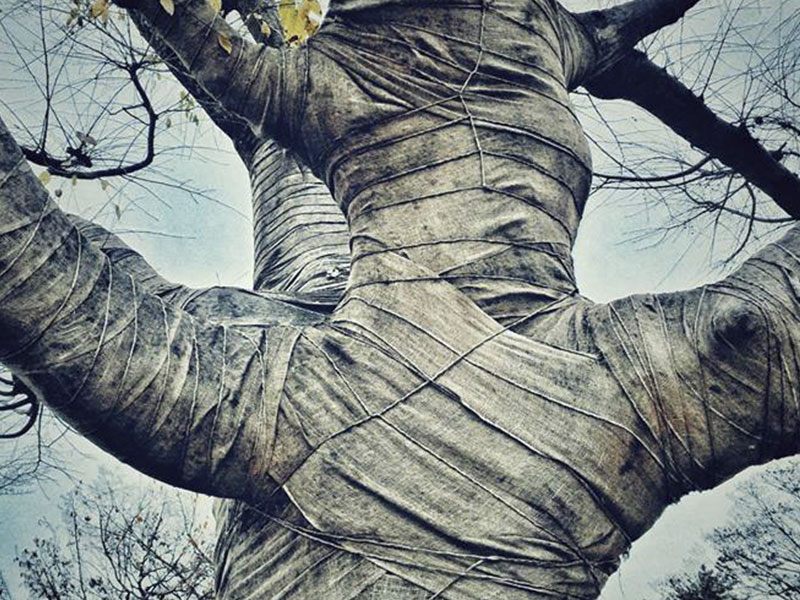 Iphone攝影魅力無法擋！官方IG開張三日內五十萬人次追蹤_img_11