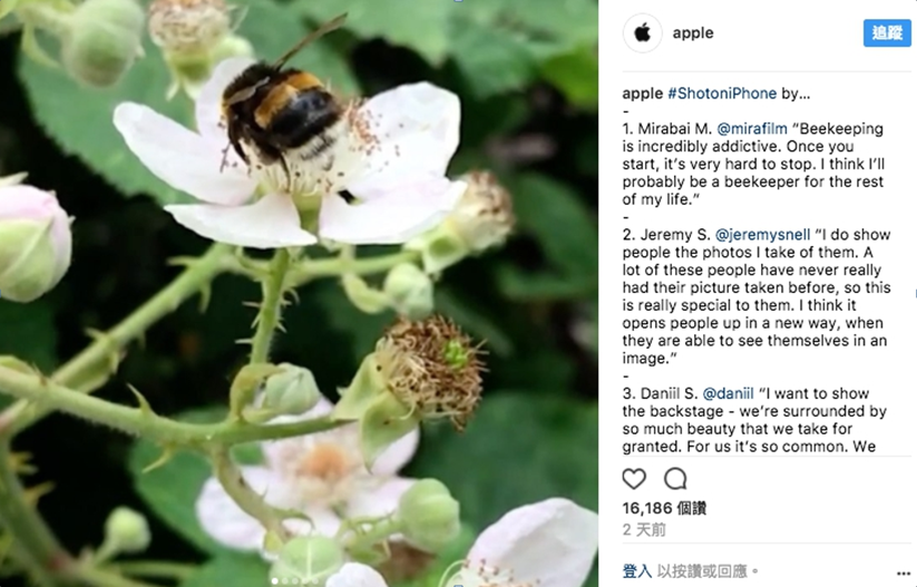 Iphone攝影魅力無法擋！官方IG開張三日內五十萬人次追蹤_img_1