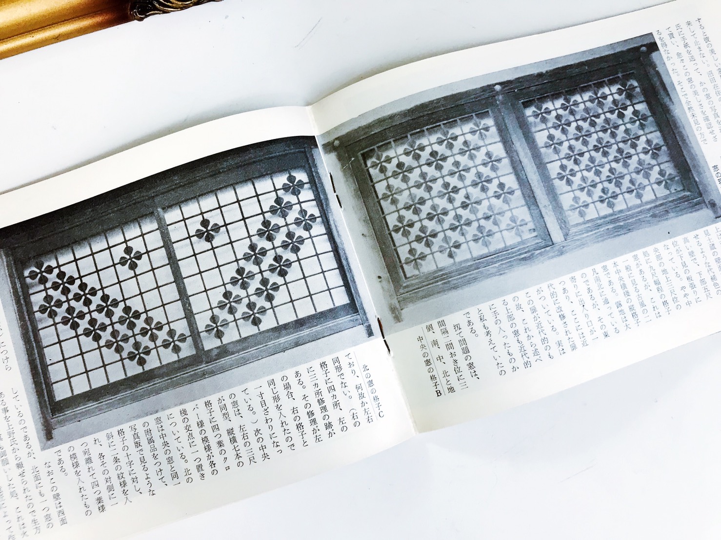 專訪日本最小書店URARA，挖掘沖繩土地的根_img_14