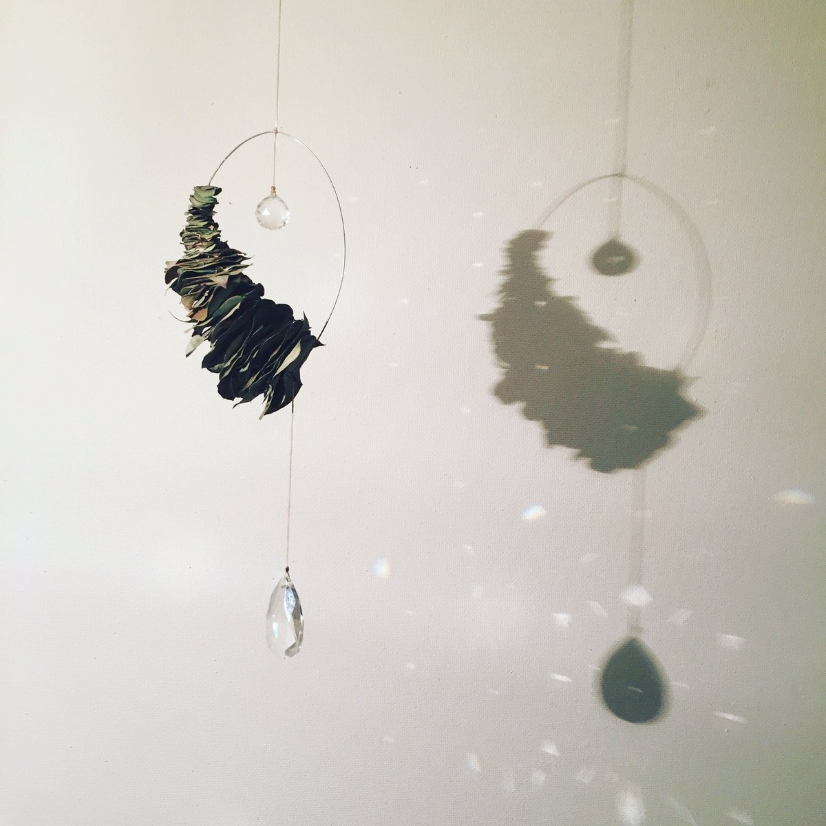 沖繩花藝師森井祐子 學她過著花與海的溫柔日子_img_8