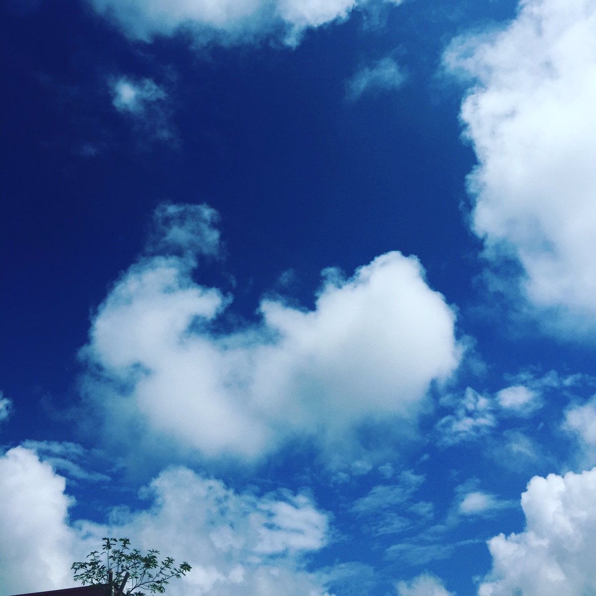 沖繩花藝師森井祐子 學她過著花與海的溫柔日子_img_9