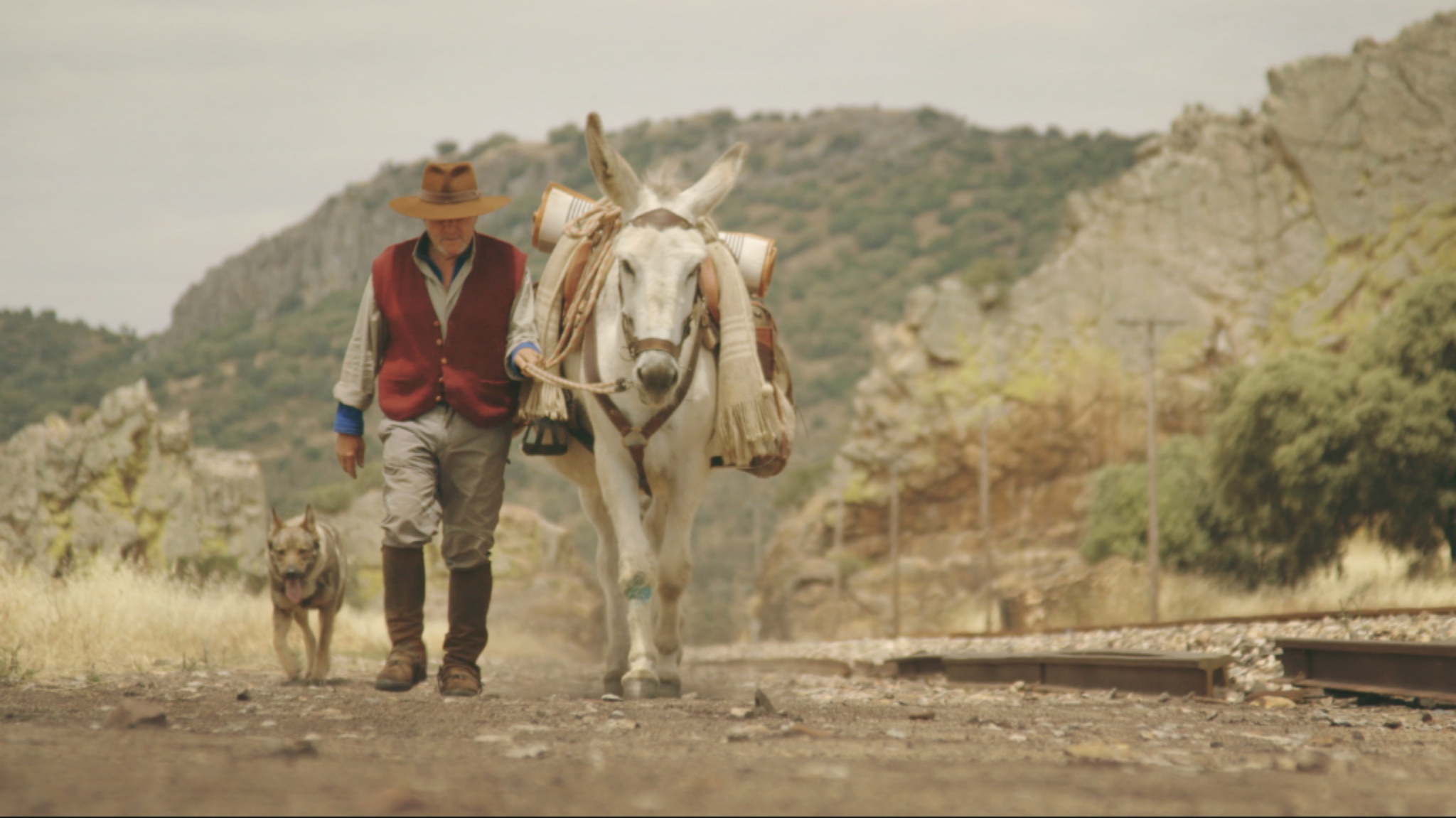 看電影?不,是看人生_img_1