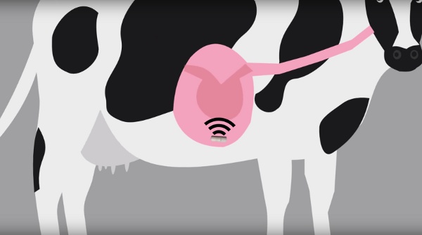 物聯網的15個應用_img_1