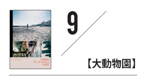 深旅行悅讀10本書_img_9