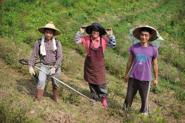 採茶‧人生回甘_img_2