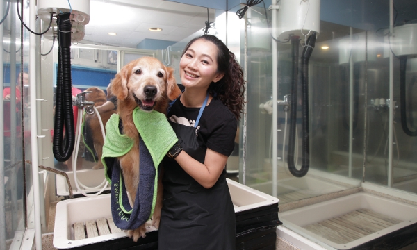 那些年，寵物教會我的事_img_2