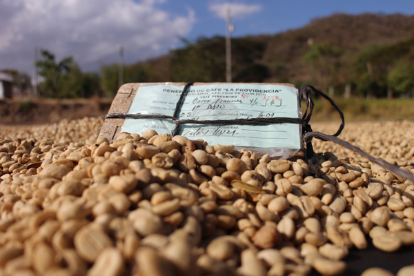 翻轉不公平，讓世界更美好_img_1