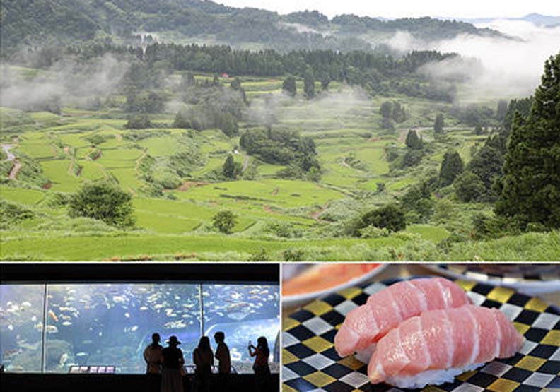 新潟4天旅遊自駕行 星峠梯田絕景 後妻有大地藝術祭之里 就愛去日本 遠見雜誌