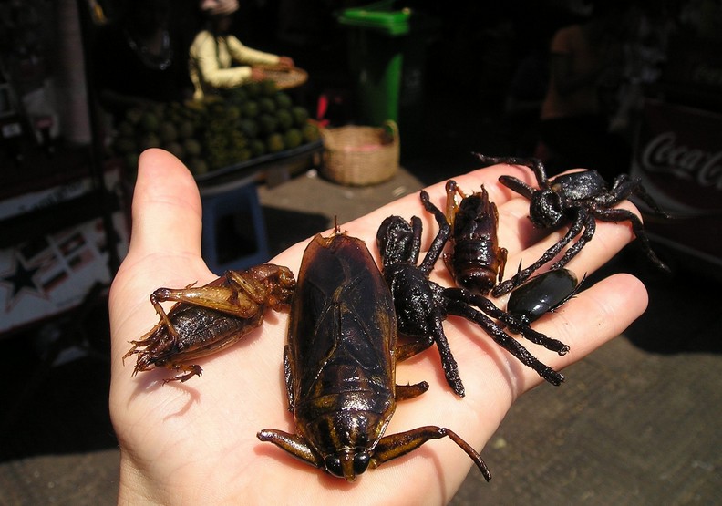 這14種最不尋常的工作!詭異到你難以想像_img_12