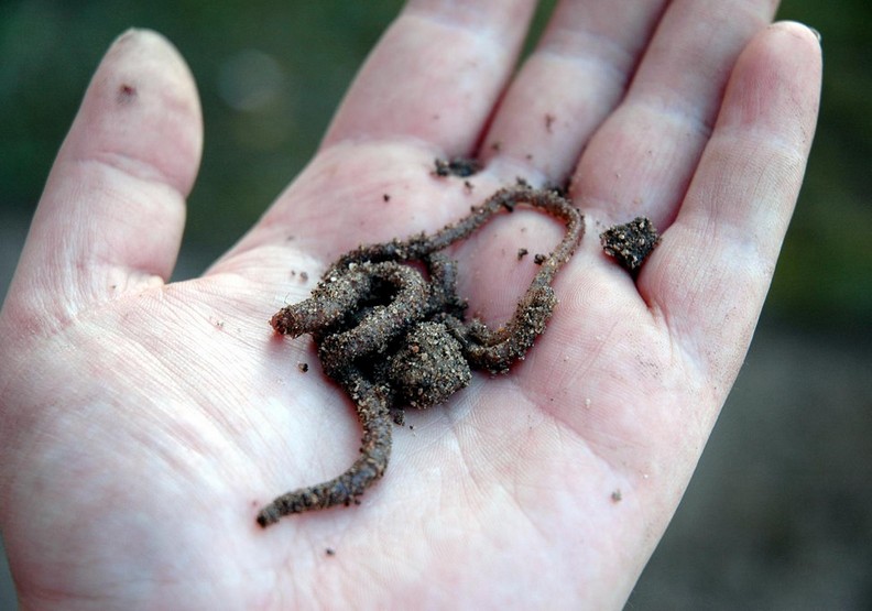 這14種最不尋常的工作!詭異到你難以想像_img_11