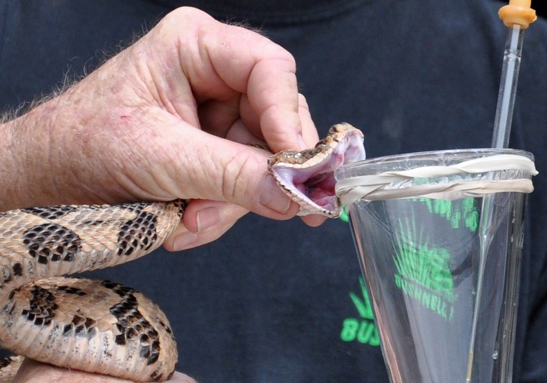 這14種最不尋常的工作!詭異到你難以想像_img_9