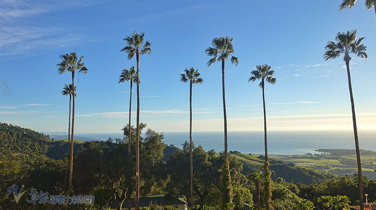 繁華富麗的加州赫氏城堡_img_9