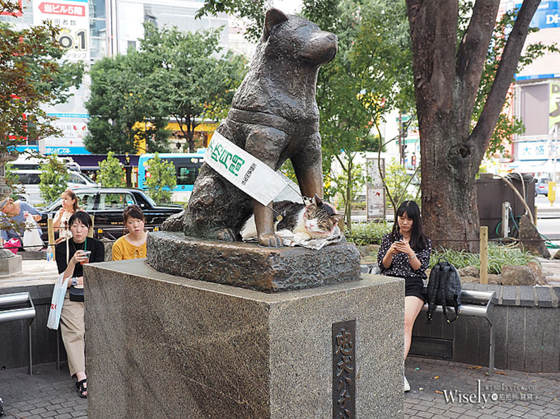 東京三角地區套票 甜點雜貨文青控愛用_img_7