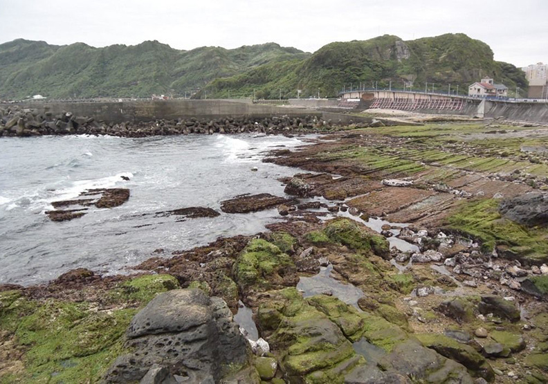 海苔產品口味變多 竟是海漂垃圾逼的！