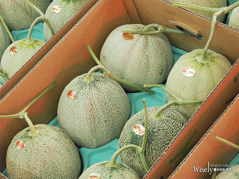 生吃海膽、現釣烏賊:北海道函館朝市_img_15