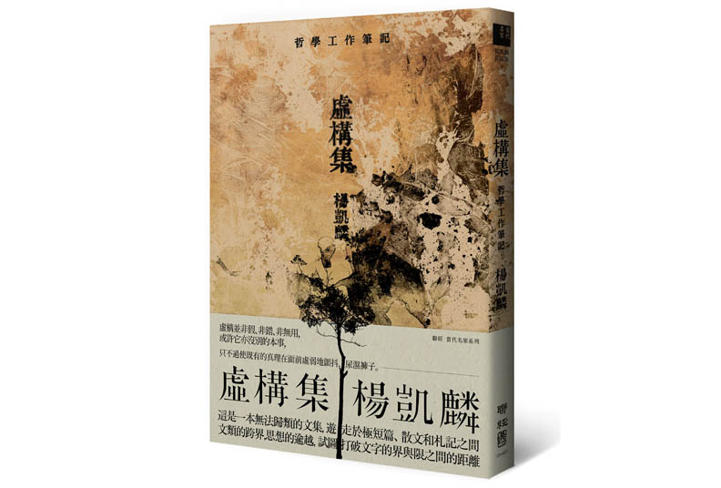 弗美爾,梵谷的先驅者_img_1