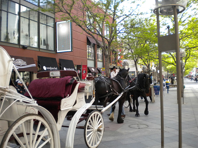 榮耀一身的特色都市—丹佛_img_4