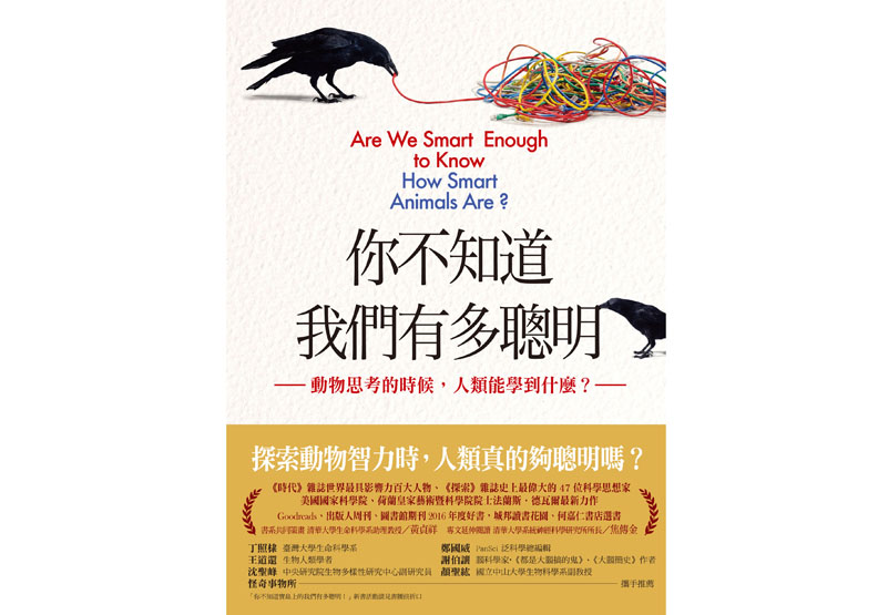 魚類的合作:清潔魚懂得「服務客戶」_img_1