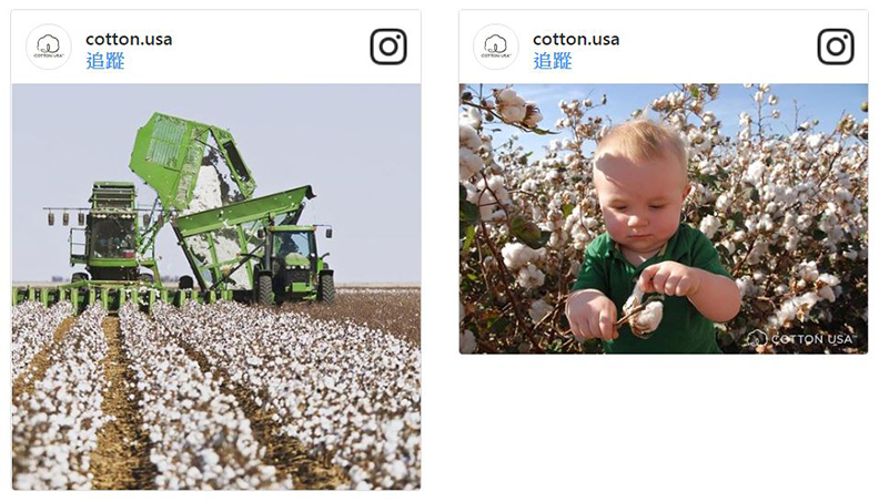 Taipei In Style攜手美國棉、高林基金會打造永續時尚計畫_img_2