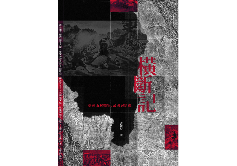 嘉平林道上的大片桂竹林_img_2