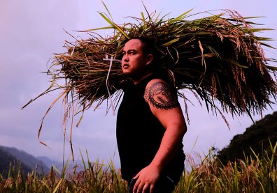 讓絕跡四十年的香氣重現部落！