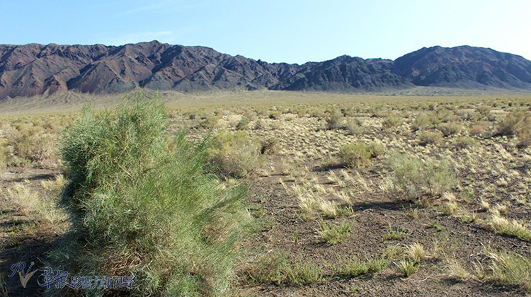 走近喀納斯_img_2