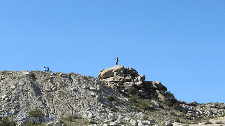 走近喀納斯_img_9