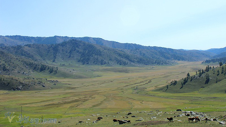 走近喀納斯_img_20