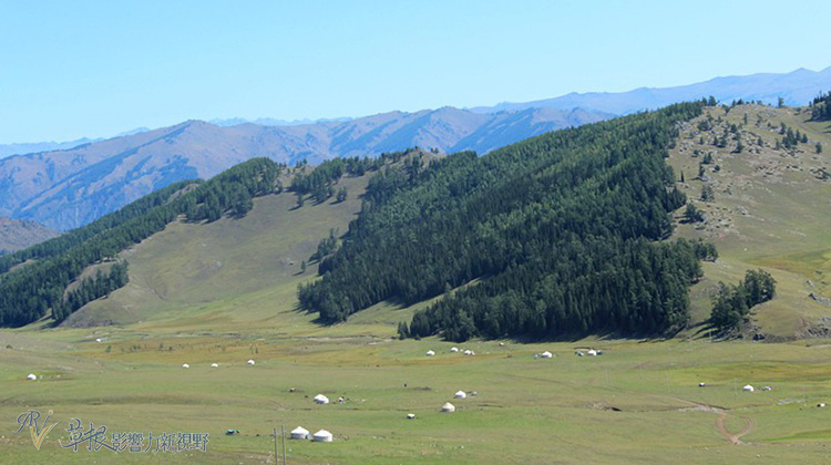 走近喀納斯_img_21