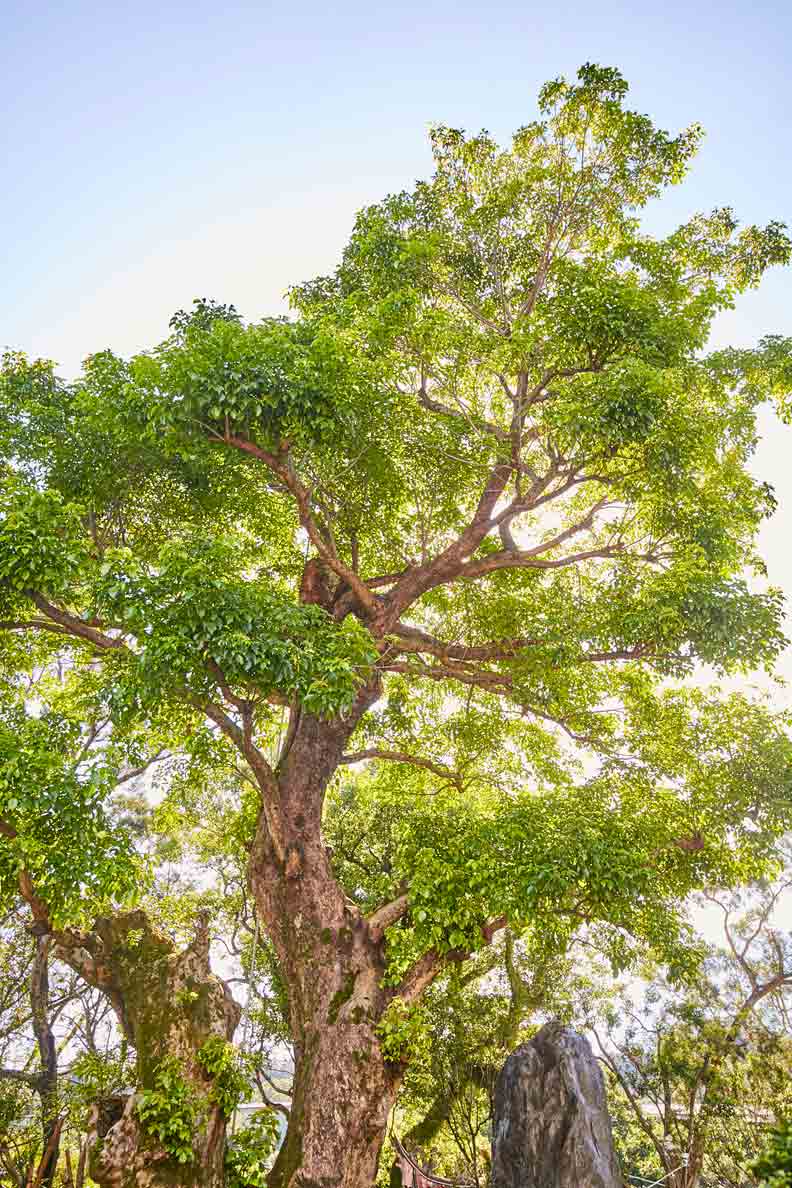 把泡棉做到世界級 尤利春甘願承擔_img_1