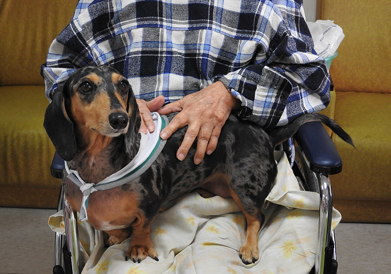 90歲「狗醫生」不捨卸下醫師袍 繼續趴趴走_img_2