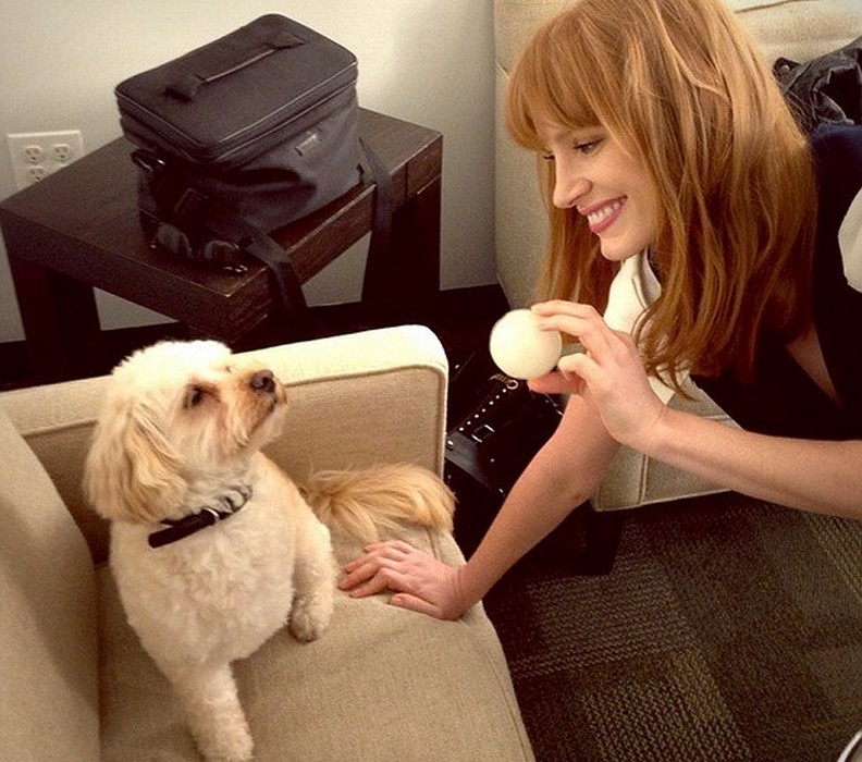 金馬最大來賓!10件事情讓你深深愛上潔西卡崔絲坦_img_5