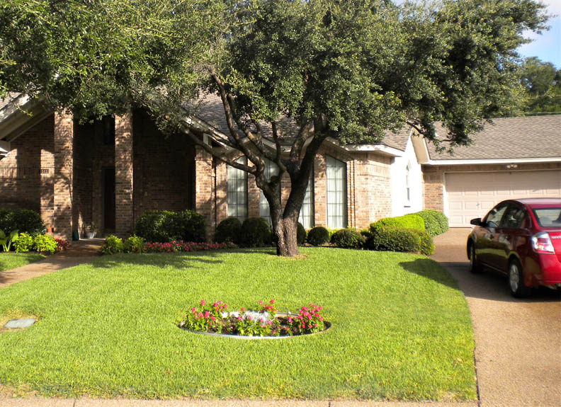 火雞 團圓 感恩節_img_1