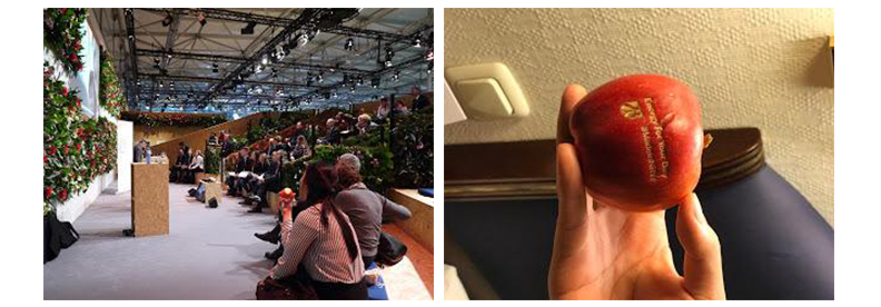 蘋果、魚燈、貝多芬,波昂會議第二週精彩圖輯_img_7