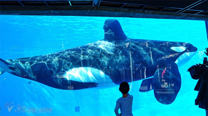 如何坐火車玩美西_img_8