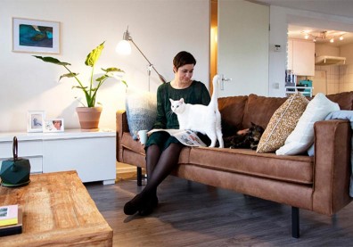 超幸福單身住所：Astra與兩隻貓的荷蘭生活