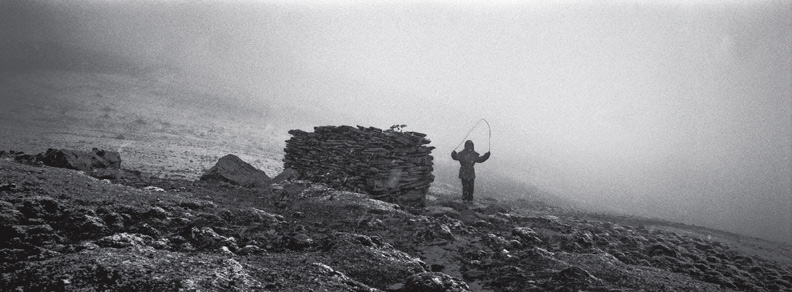 等你再來的時候,我就死了_img_1