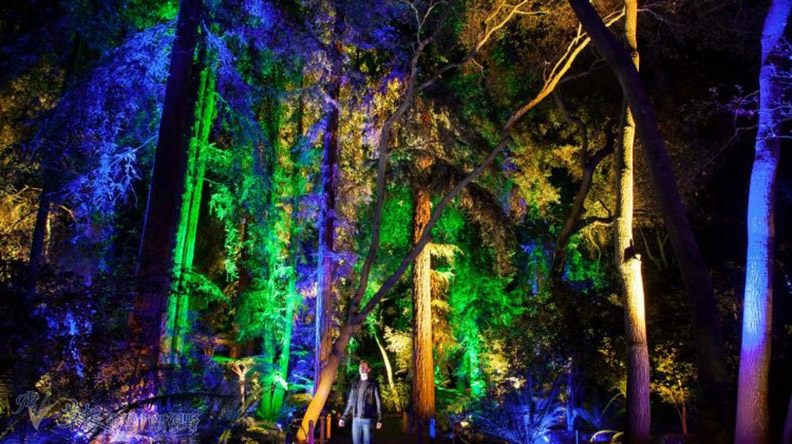 洛杉磯聖誕新年去哪裡_img_6