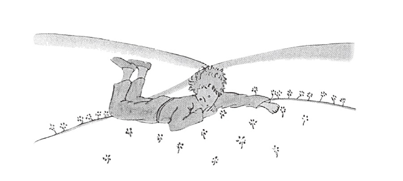 宇宙中獨一無二的花?小王子的哭泣_img_1