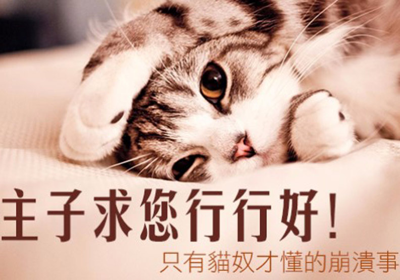 主子求您行行好！只有貓奴才懂的崩潰事