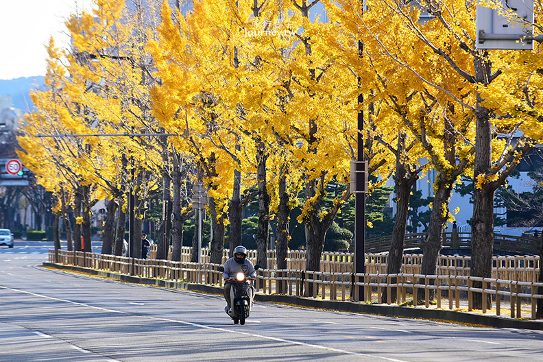 和歌山城就在身旁・和歌山大和ROYNET飯店_img_24
