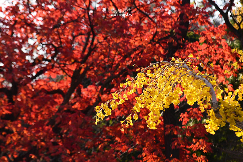 和歌山城就在身旁・和歌山大和ROYNET飯店_img_25