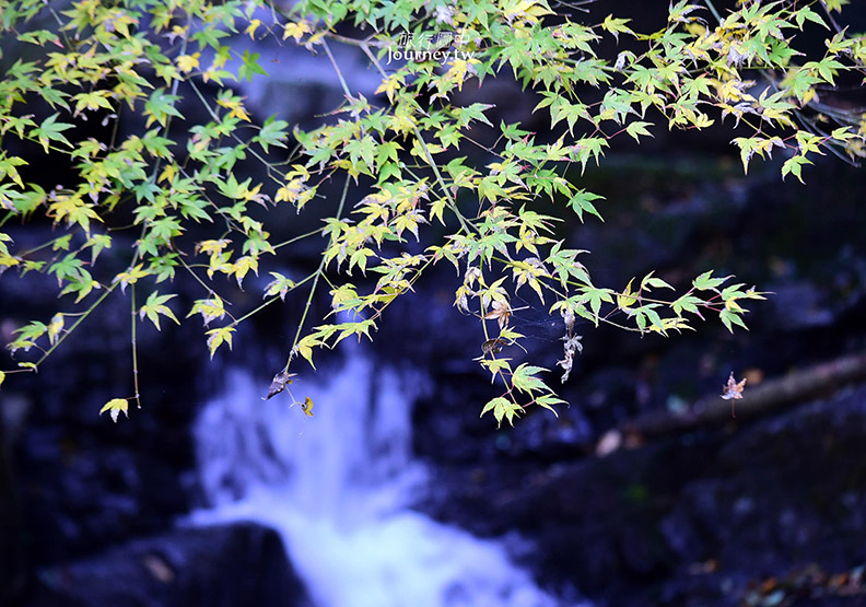 大阪犬鳴山溫泉鄉賞紅葉 行者修煉的神秘瀑布_img_2