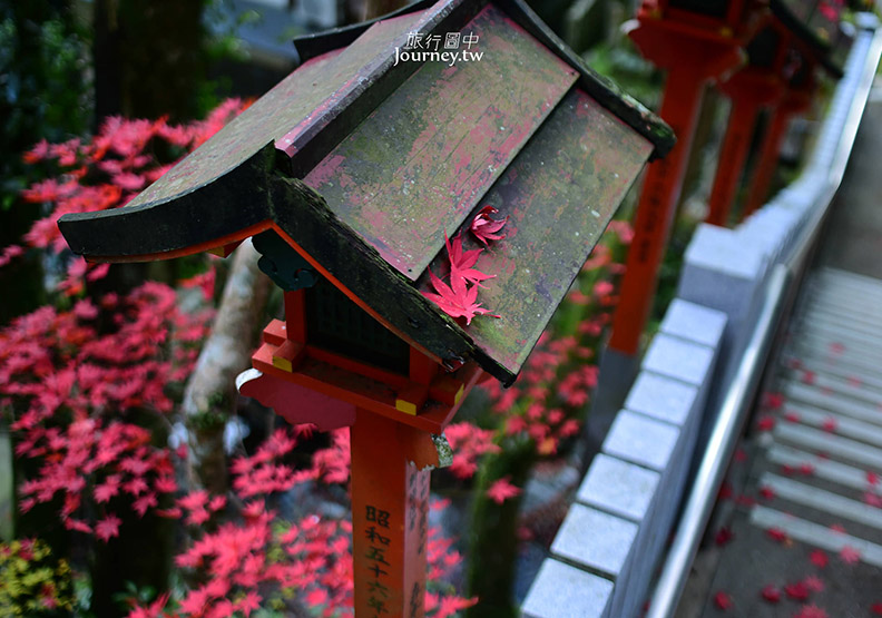 大阪犬鳴山溫泉鄉賞紅葉 行者修煉的神秘瀑布_img_32